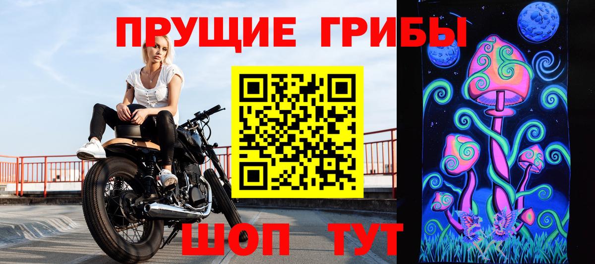 Хасавюрт  Галлюциногенные грибы Psilocybine cubensis  Вход с VPN  Галлюциногенные грибы ЛСД 