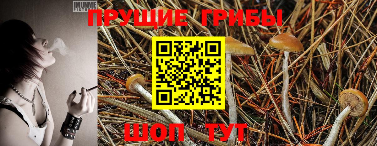 Псилоцибиновые грибы Magic Shrooms Хасавюрт